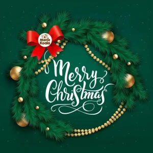 Pañal de Bolsillo –  Especial Navidad