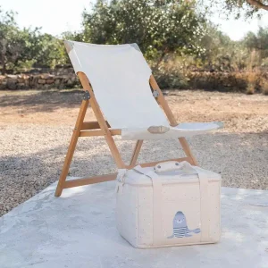 Nevera Térmica Grande Seal