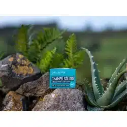 Champú Sólido Natural – CABELLO GRASO O CASPA – Biocenter