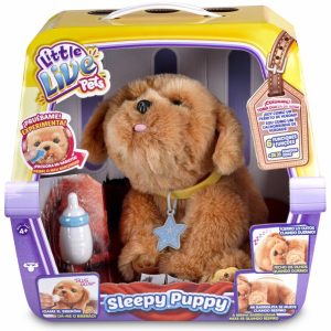 Perro sleepy puppy little live pets