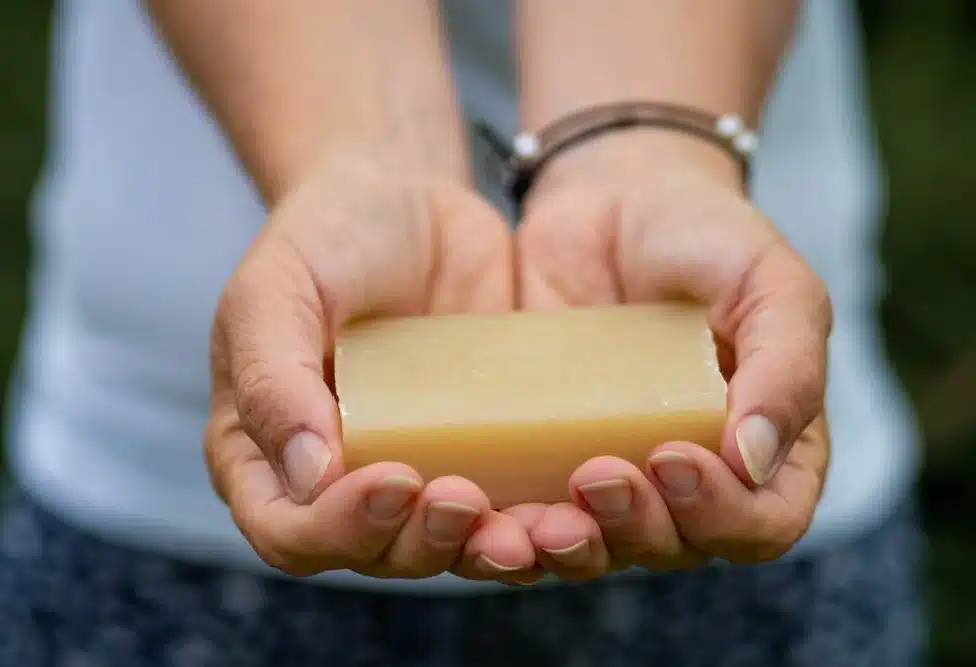 Pastilla de Jabón de Bilis para Manchas Difíciles Terra Gaia